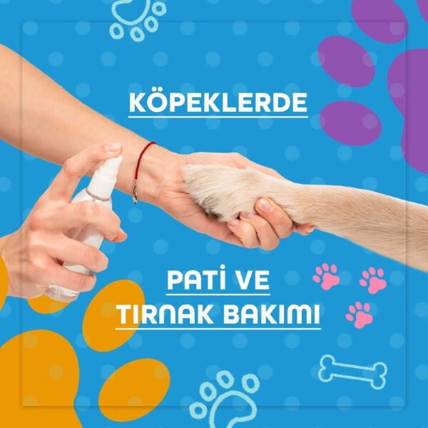 Köpeklerde Pati ve Tırnak Bakımı