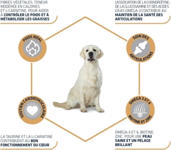 Advance Labrador ve Golden Retriever Tavuklu Yetişkin Köpek Maması 12 KG - 4