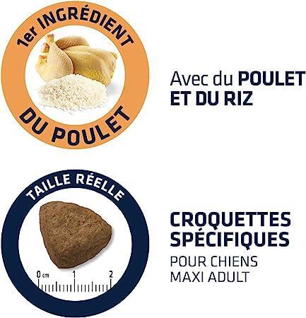Advance Maxi Adult Tavuklu ve Pirinçli Büyük Irk Yetişkin Köpek Maması 14 KG - 4