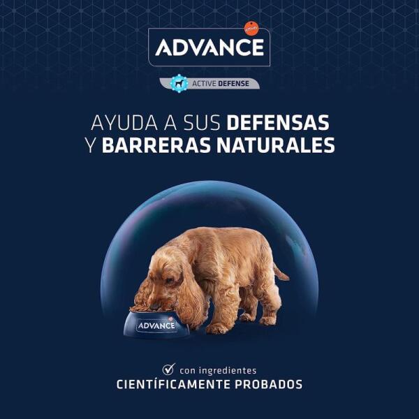 Advance Medium Tavuklu Orta Irk Yaşlı Köpek Maması 12 KG - 4