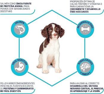 Advance Puppy Sensitive Somonlu Hassas Yavru Köpek Maması 12 KG - 4