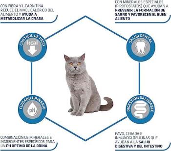 Advance Sterilised Hindi Etli Kısırlaştırılmış Yetişkin Kedi Maması 15 KG - 4