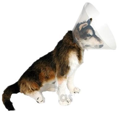 Eastland Yakalık Elizabet 20 Cm - Eastland