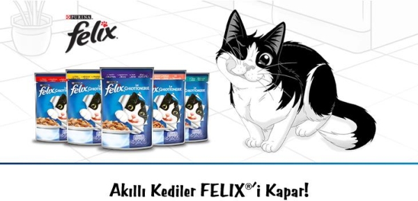 Felix Somon Kedi Yaş Maması Eko Paket 85 Gr 24 Lü - 4