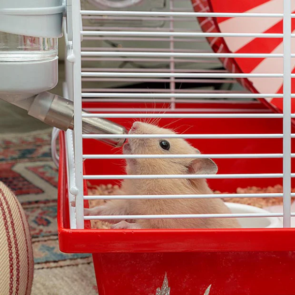 Ferplast Coney Island Hamster Kafesi Beyaz 50x35x25Cm - 3