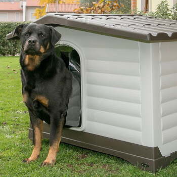Ferplast Dog Villa 70 Plus Köpek Kulübesi - 4