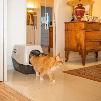 Ferplast Maxi Bill Kedi Tuvaleti - 2