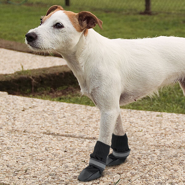 Ferplast Protective Köpek Çorap 2 Adet Siyah Small - Ferplast