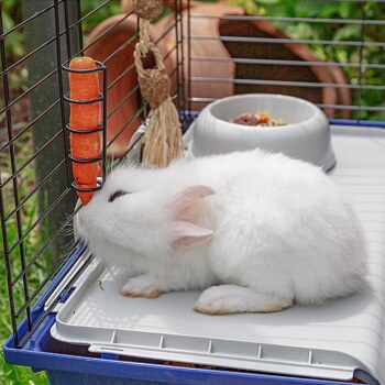 Ferplast Rabbit 120 Tavşan Kafesi - 5