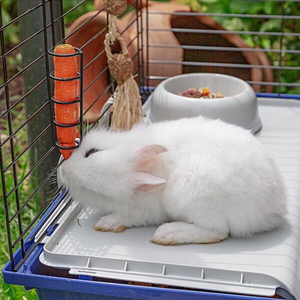 Ferplast Rabbit 120 Tavşan Kafesi - 5