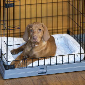 Ferplast Superior Crate 90 Katlanır Tel Köpek Kafesi 92 cm - 3