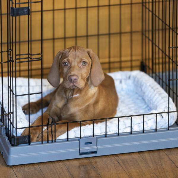 Ferplast Superior Crate 90 Katlanır Tel Köpek Kafesi 92 cm - 3