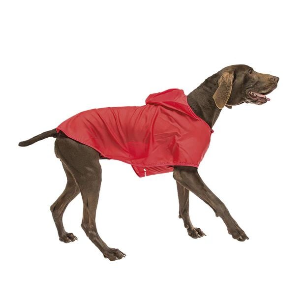 Ferplast Sailor Su Geçirmez Köpek Ceketi Kırmızı