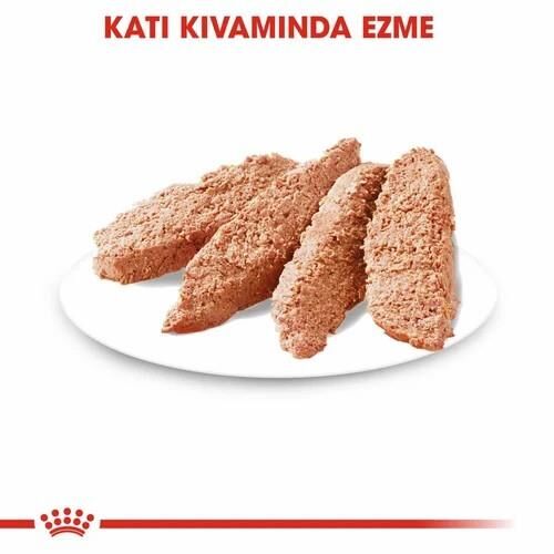 Royal Canin Dermacomfort Loaf Yetişkin Köpek Yaş Maması 85 Gr 12 Li