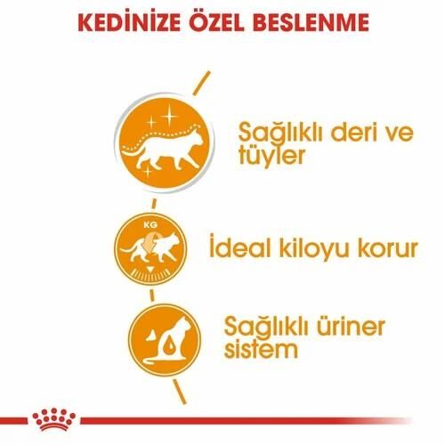 Royal Canin Hair Skin Hassas Tüylü Kedi Yaş Maması 85 Gr 12 Li