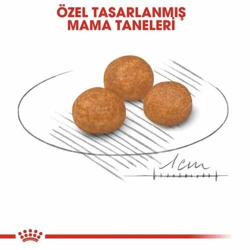 Royal Canin X Small Adult Küçük Irk Yetişkin Köpek Maması 1.5 Kg