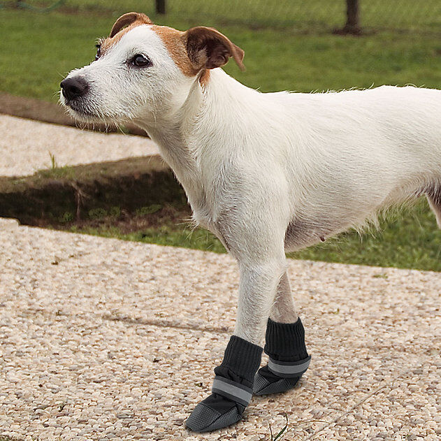 Ferplast Protective Köpek Çorap 2 Adet Siyah Small