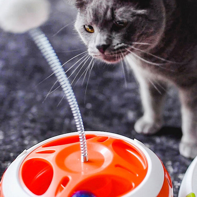 Ferplast Vertigo Toplu Labirent Kedi Oyuncak
