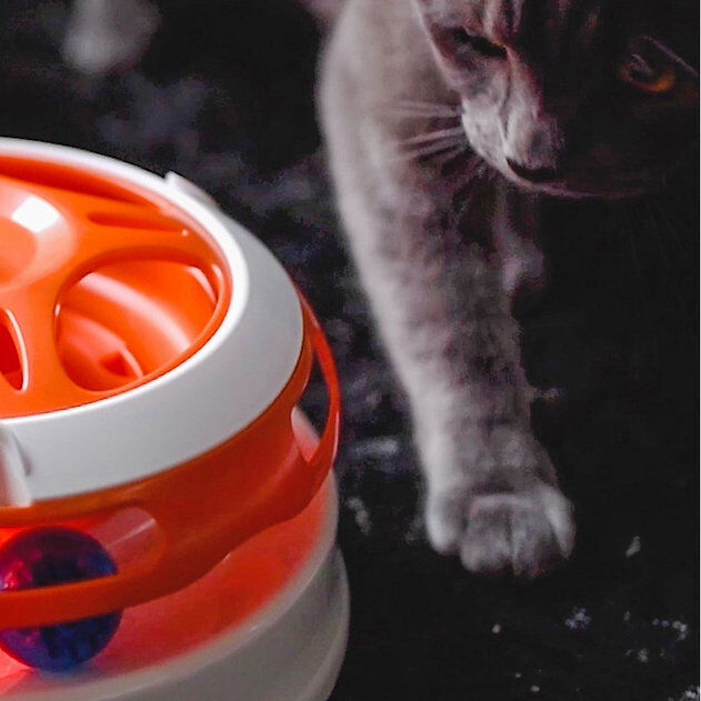 Ferplast Vertigo Toplu Labirent Kedi Oyuncak