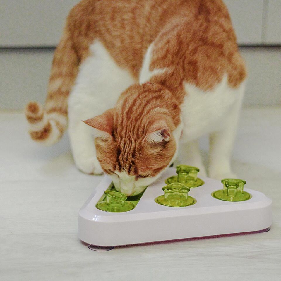 Ferplast Trea Kedi Köpek Hazneli Eğitim Oyuncağı