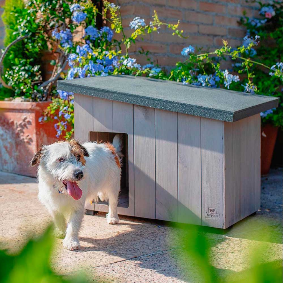 Ferplast Argo 60 Ahşap Köpek Kulübesi