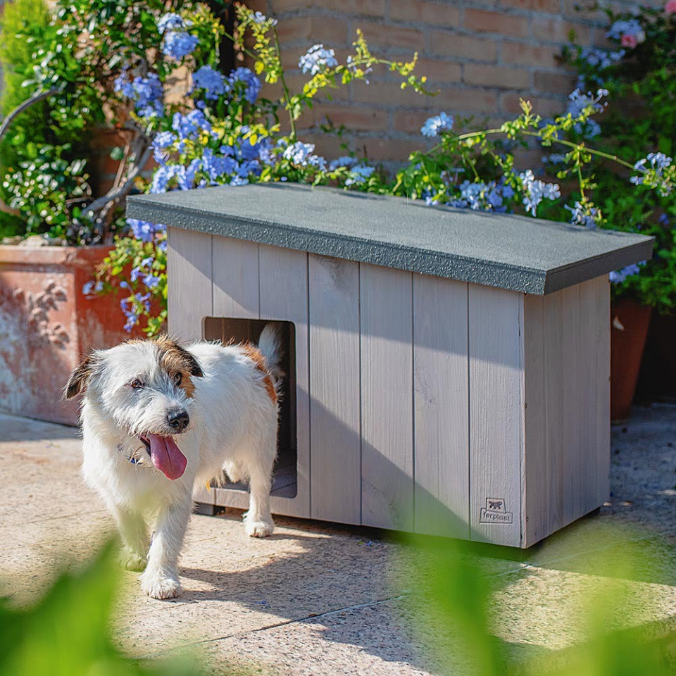 Ferplast Argo 60 Ahşap Köpek Kulübesi