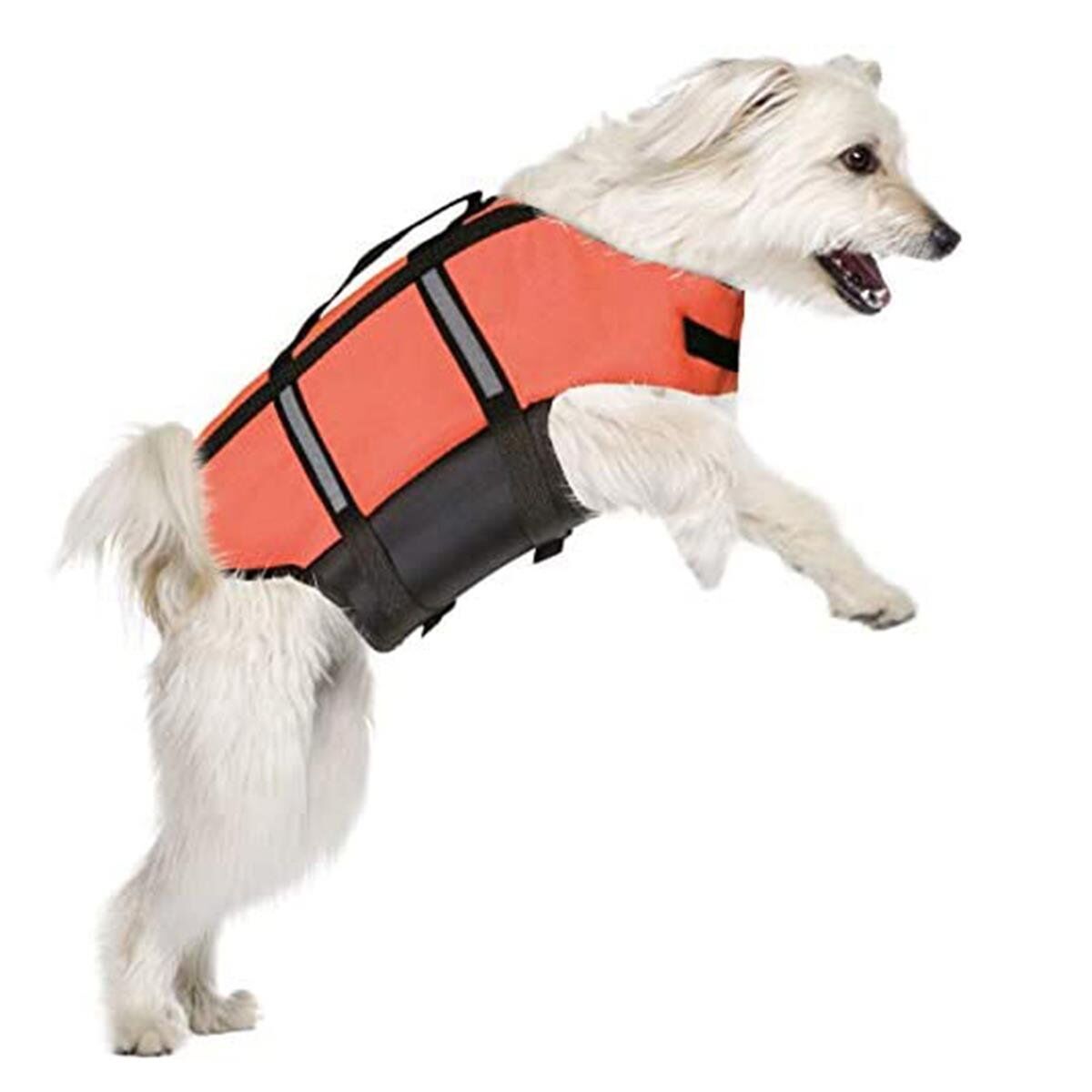 Karlie Reflektörlü Köpek Can Yeleği L