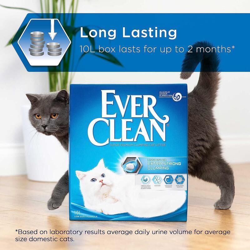 Ever Clean Extra Strength Kokusuz Topaklanan Kedi Kumu 10 Lt