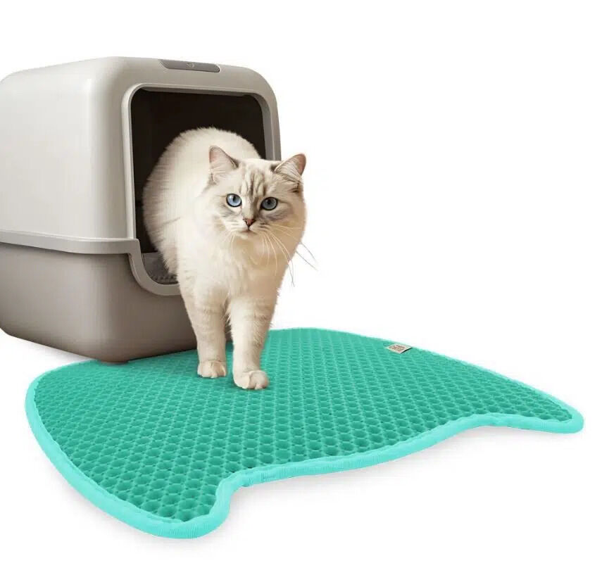Cattie Kedi Model Kum Toplayıcı Fonksiyonel Kedi Paspası Turkuaz 50X50Cm