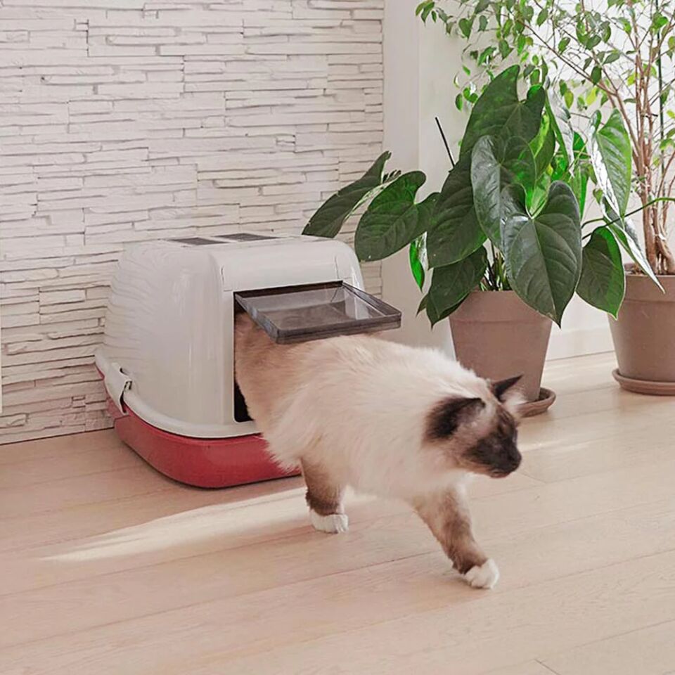 Ferplast Magıx Kedi Tuvaleti Bordo