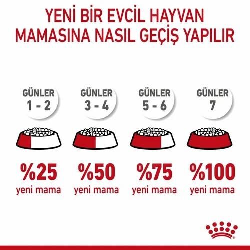 Royal Canin Mini Starter Küçük Irk Yavru Köpek Maması 4 Kg