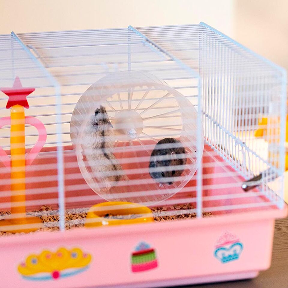 Ferplast Cricetti 9 Princess Temalı Kemirgen Kafesi