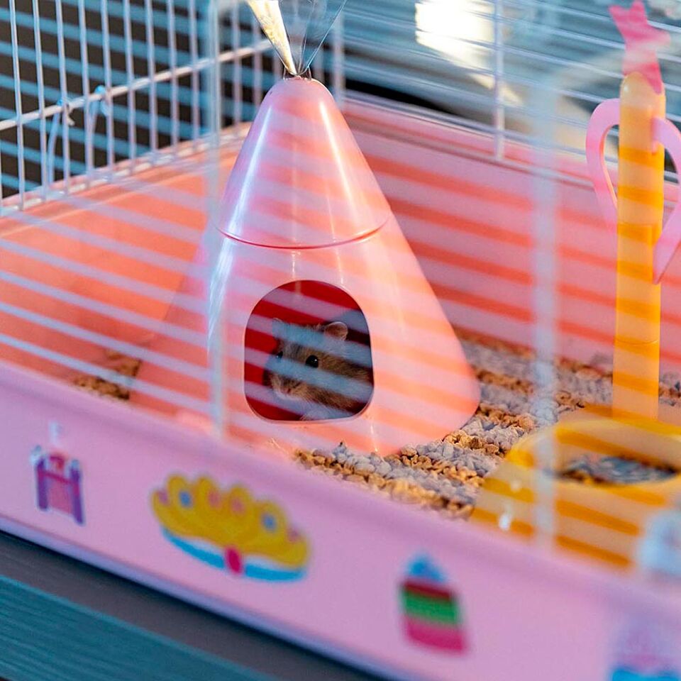 Ferplast Cricetti 9 Princess Temalı Kemirgen Kafesi