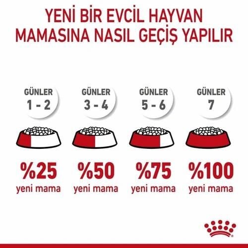 Royal Canin Kitten Yavru Kedi Maması 10 Kg