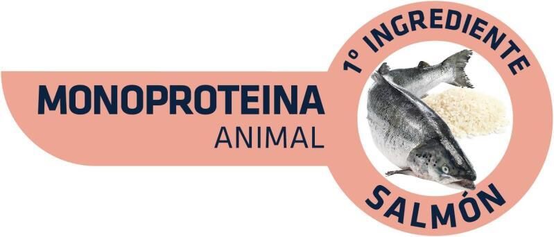 Advance Mini Sensitive Somonlu Küçük Irk Yetişkin Köpek Maması 3 KG