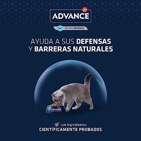 Advance Kitten Tavuklu ve Pirinçli Yavru Kedi Maması 10 KG