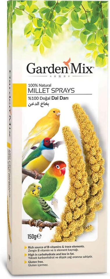 Gardenmix Platin Sarı Dal Darı 150 Gr