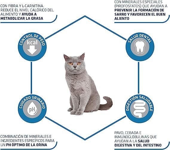 Advance Sterilised Hindi Etli Kısırlaştırılmış Yetişkin Kedi Maması 15 KG