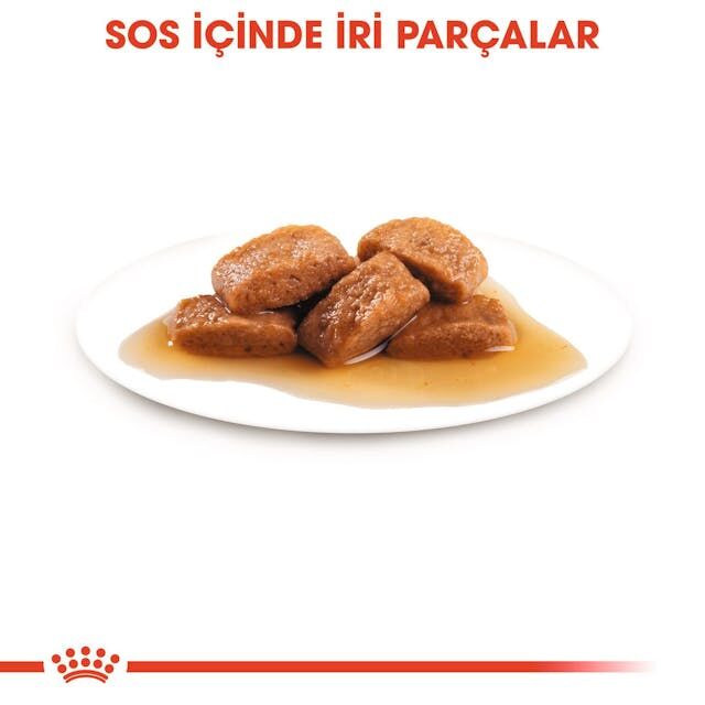 Royal Canin Maxi Adult Gravy Yetişkin Köpek Yaş Maması 140 Gr 10 Lu
