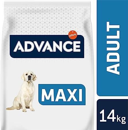 Advance Maxi Adult Tavuklu ve Pirinçli Büyük Irk Yetişkin Köpek Maması 14 KG