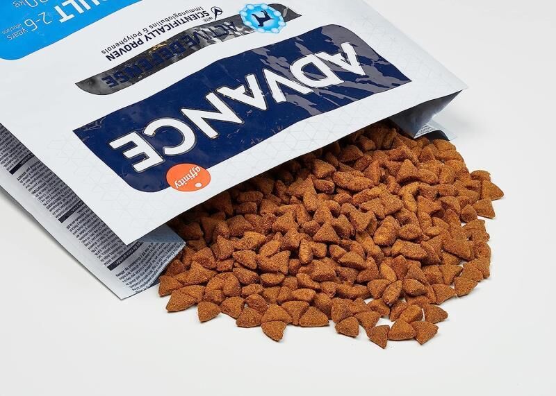 Advance Maxi Adult Tavuklu ve Pirinçli Büyük Irk Yetişkin Köpek Maması 14 KG