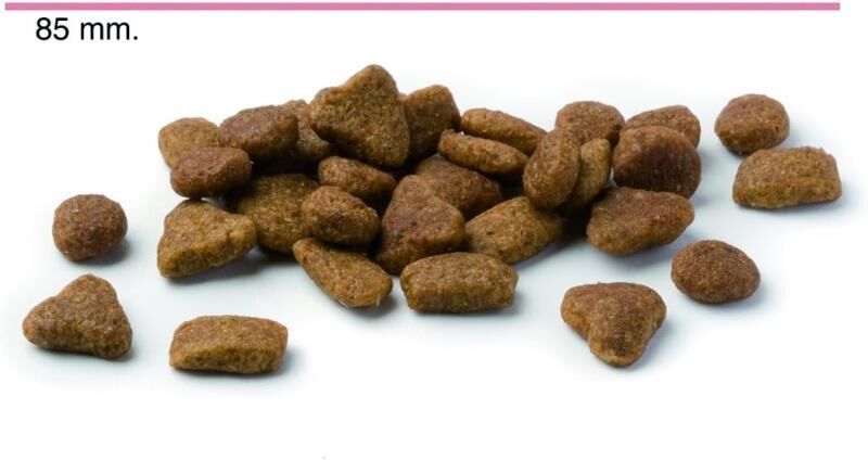 Advance Yorkshire Terrier Tavuklu Yetişkin Köpek Maması 1,5 KG