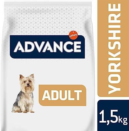 Advance Yorkshire Terrier Tavuklu Yetişkin Köpek Maması 1,5 KG