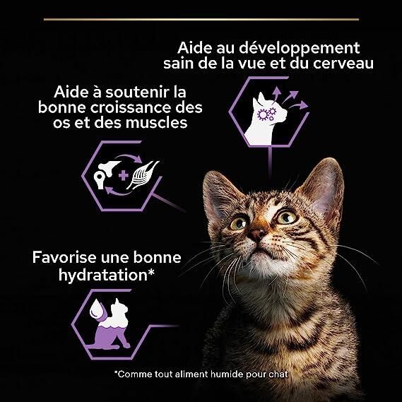 Pro Plan Baby Kitten Tavuklu Yavru Kedi Yaş Maması 85 Gr 12 Li