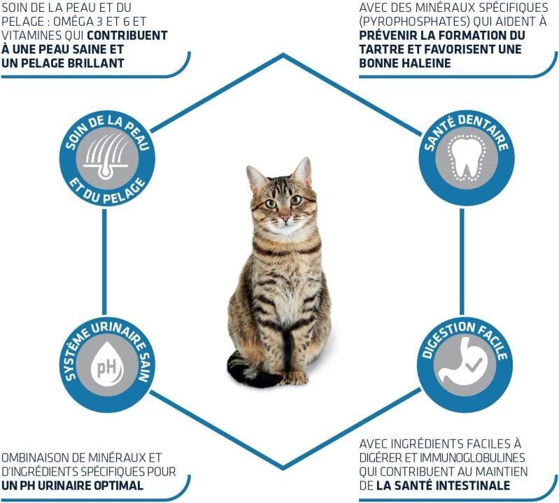 Advance Tavuklu ve Pirinçli Yetişkin Kedi Maması 15 KG