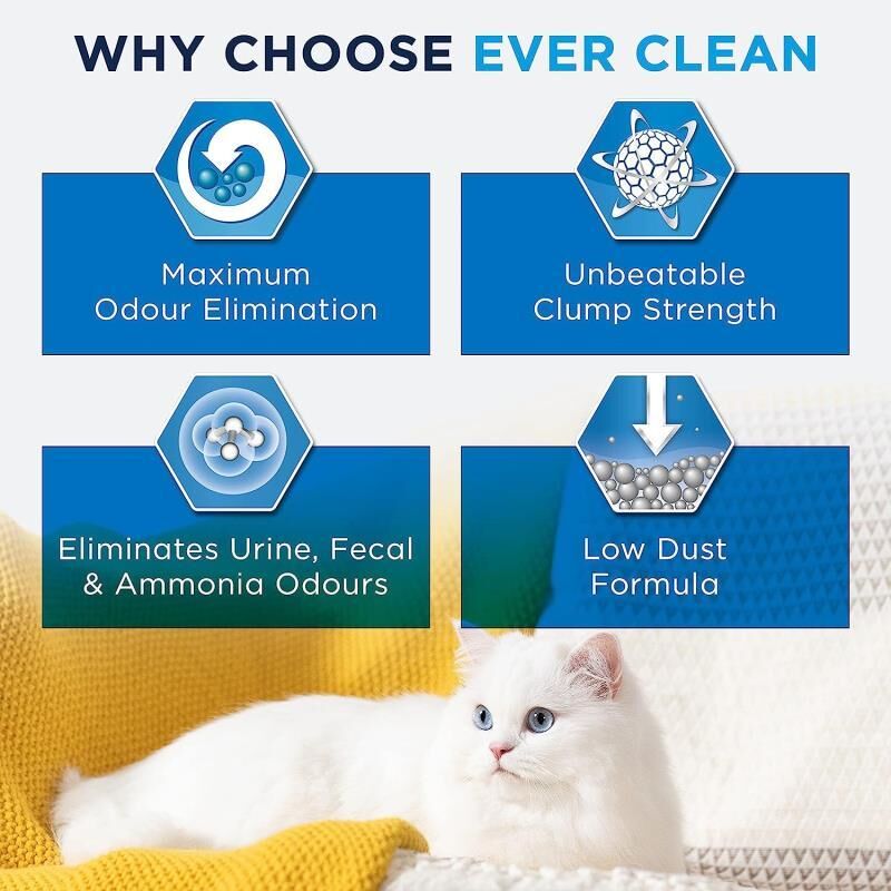 Ever Clean Fast Acting Hızlı Topaklanan Kedi Kumu 10 Lt