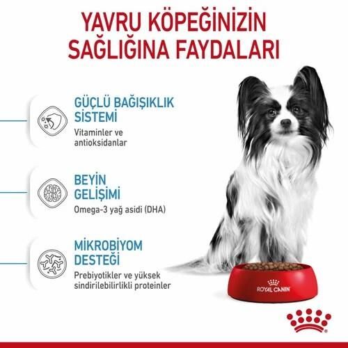 Royal Canin X Small Puppy Küçük Irk Yavru Köpek Maması 1.5 Kg