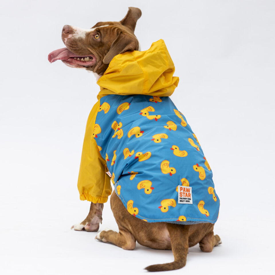 Pawstar Pekin Büyük Irk Yağmurluk 4XL
