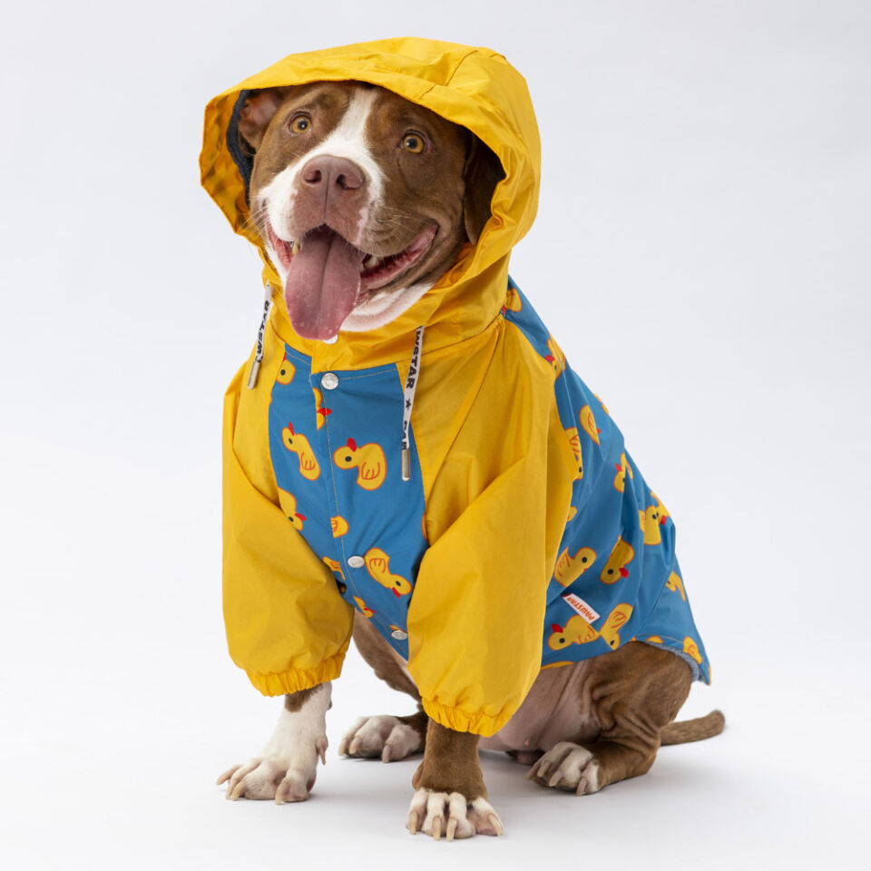 Pawstar Pekin Büyük Irk Yağmurluk 4XL