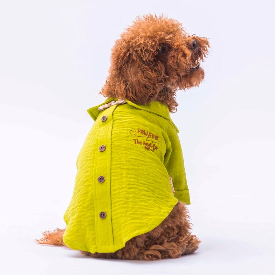 Pawstar Yeşil Linen Look Gömlek L